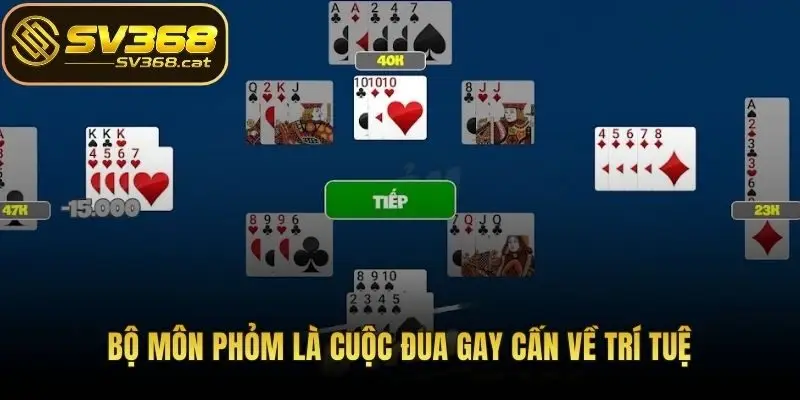 Bộ môn Phỏm là cuộc đua gay cấn về trí tuệ