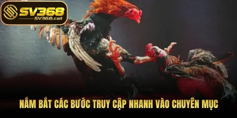 Nắm bắt các bước truy cập nhanh vào chuyên mục