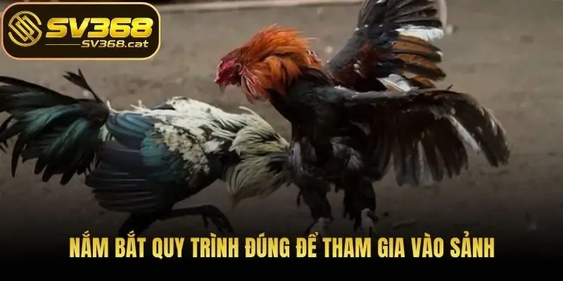 Nắm bắt quy trình đúng để tham gia vào sảnh