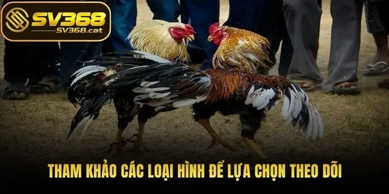 Tham khảo các loại hình để lựa chọn theo dõi